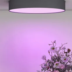 Plafonnier LED connecté Smart RGB Ø40 cm noir IP20 24W 2350lm Calex