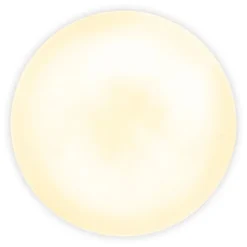 Plafonnier LED 'FONTANA' avec détecteur de mouvement