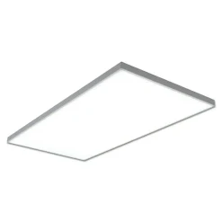 Plafonnier LED Panel 'CARENTE' longueur 59,5 cm, sans cadre, nombreuses fonctions, en métal et plastique, blanc, LED intégrées