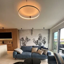 Plafonnier LED rond design moderne CCT réglable 3000-6000K noir éclairage plafond Ring