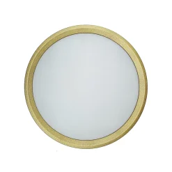 Plafonnier LED Rond 18W Extra-Plat CCT 23 cm, Lampe Superslim Sceneswitch 3 ambiances - OR