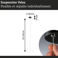 Plafonnier LED Volea 3000K 950lm / 0lm 230V 3,5W / 13W gradable Noir Doré Argent