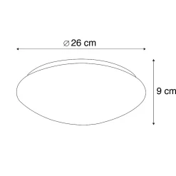 Plafonnier moderne blanc 26 cm avec LED - Iene