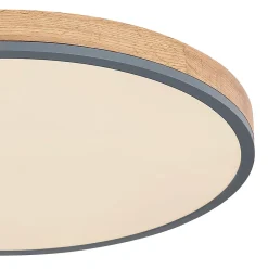 Plafonnier métal graphite, LED DORO