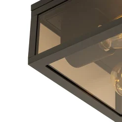 Plafonnier noir avec verre fumé 2 lumières IP44 - Charlois
