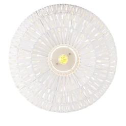 Plafonnier rétro intelligent blanc avec Wifi A60 - Lina