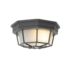 Plafonnier rustique gris foncé 21,3 cm IP44 - Bri