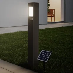 Potelet solaire LED intégré à détection Davern 800lm IP65 noir Goodhome