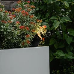 Projecteur de jardin à piquer noir avec cordon et prise IP65 - Done