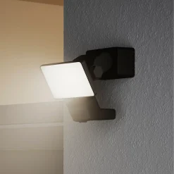 Projecteur LED à détection Davern 1000lm 10W IP65 GoodHome noir