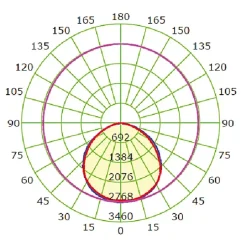 Projecteur LED INDUS-S avec détecteur 20W IP44 6000K
