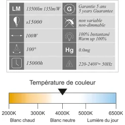 Projecteur LED pro haute puissance 100W 13500lm 135lm/W 4000K IP65 - câble 1M - garantie 5 ans