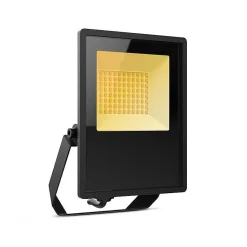 Projecteur LED 30W noir étanche CCT