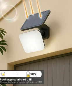 Projecteur Solaire avec Détecteur de Mouvement - 1000 Lumens - 3 Modes d'Éclairage 3000K-4000K-6000K - Groupe DDC