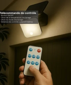 Projecteur Solaire avec Détecteur de Mouvement - 1000 Lumens - 3 Modes d'Éclairage 3000K-4000K-6000K - Groupe DDC