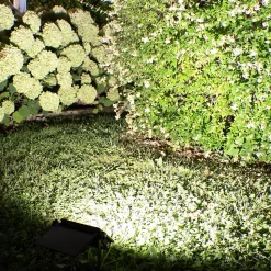 Projecteur Solaire 800LM à Détection de Mouvement - Pour Jardin, Allée, Terrasse - Groupe DDC