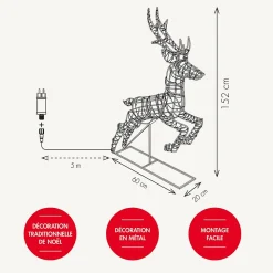 Renne féériques lumineux 3D - Chromex