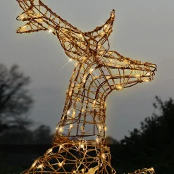 Renne féériques lumineux 3D - Chromex