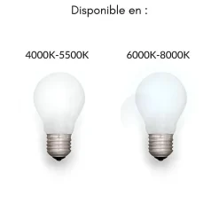 Réglette LED 120cm 48W (Pack de 10) - Blanc Froid 6000K - 8000K - SILAMP