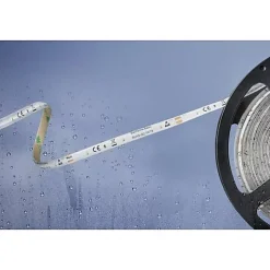 Ruban LED Barthelme 51540434 12 V 5 m IP54 blanc froid CRI 90 dimmable