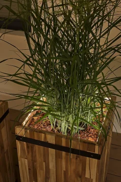 Ruban LED d'exterieur Link & Light 80cm IP67 3000K PAULMANN