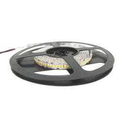 Ruban LED 5M 24V 2835 IP20 240LED/m - Blanc Froid 6000K - 8000K - SILAMP