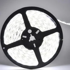 Ruban LED 12V 5M 5050 IP44 60LED/m - Blanc Froid 6000K - 8000K - SILAMP