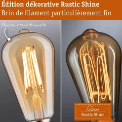 Rustic Shine Standard 230 V Globe LED Filament en forme de S 170lm 4,2W 1800K gradable Verre fumé