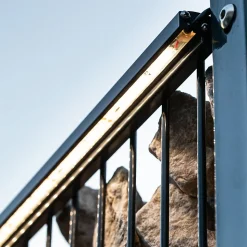 Set d'éclairage pour clôture en métal/gabion : 1x Barette LED de Lg. 1960 m/m Anthracite, 1 tranformateur EU, 1 prolongateur