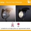 Solar Spot LED Solena IP44 3000K 2lm Noir