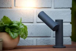 Spot de jardin TATUM en aluminium avec LED intégré - Anthracite - Lucide