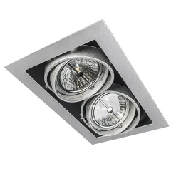 Spot encastré acier AR111 orientable 2 lumières - Oneon