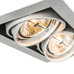 Spot encastré acier AR111 orientable 2 lumières - Oneon