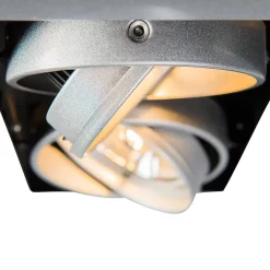 Spot encastré acier AR111 orientable 2 lumières - Oneon