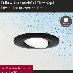 Spot encastré LED Calla orientable IP65 rond 90mm 30 6W 500lm 230V 4000K Noir mat