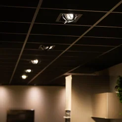 Spot encastré noir orientable AR111 2 lumières - Oneon