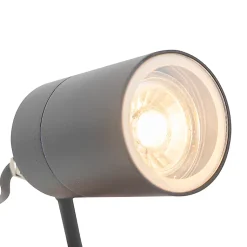 Spot encastrable anthracite orientable IP44 - Solo