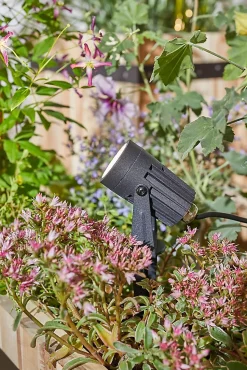 Spot extérieur Link+Light 3,5W IP67 3000K 12V Paulmann