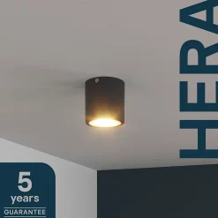 Spot Hera LED intégrée blanc chaud IP20 850lm 12W Ø8,5cm noir GoodHome