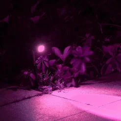 Spot Solaire à Piquer ou à Visser - Éclairage Jardin, Bosquet, Façade - Groupe DDC