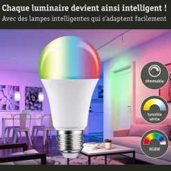 Standard 230 V Smart Home Zigbee 3.0 Ampoule LED E27 806lm 9W RGBW+ gradable Dépoli