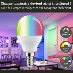 Standard 230 V Smart Home Zigbee 3.0 Sphérique LED E14 470lm 5W RGBW+ gradable Dépoli