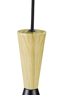 Suspension Arraqis E27 IP20 noir 19cm