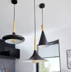 Suspension Arraqis E27 IP20 noir 38cm