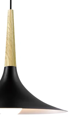 Suspension Arraqis E27 IP20 noir 38cm