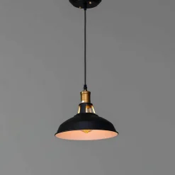 Suspension gamelle noire - Aster