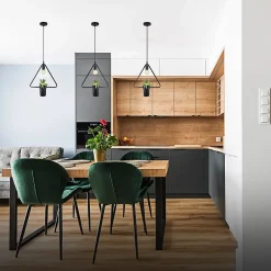 Suspension Mea Triangle E27 IP20 géométrique forme triangulaire Lampe décorative suspendue avec pot et fleur noir EDO777545