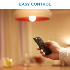 Télécommande WiZmote Philips 13.5 x 7 cm noir