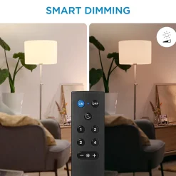 Télécommande WiZmote Philips 13.5 x 7 cm noir