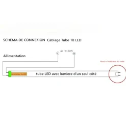 Tube Néon LED 120cm T8 12W IP20 100lm/W - Blanc Neutre 4000K - 5500K - SILAMP